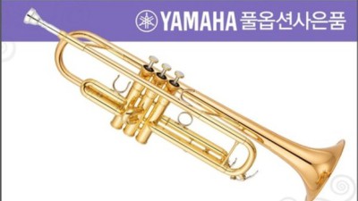 야마하6335rc 써보니 대박! 솔직 후기 & 꿀팁🍯