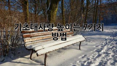 기초대사량 높이는 7가지 방법