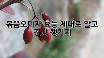 볶음오미자 효능 제대로 알고 건강 챙기기!