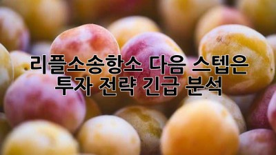 리플소송항소, 다음 스텝은? 🧐 투자 전략 긴급 분석 🚀