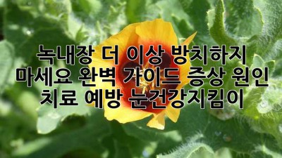 🥺 녹내장, 더 이상 방치하지 마세요! 완벽 가이드 (증상, 원인, 치료, 예방) #눈건강지킴이